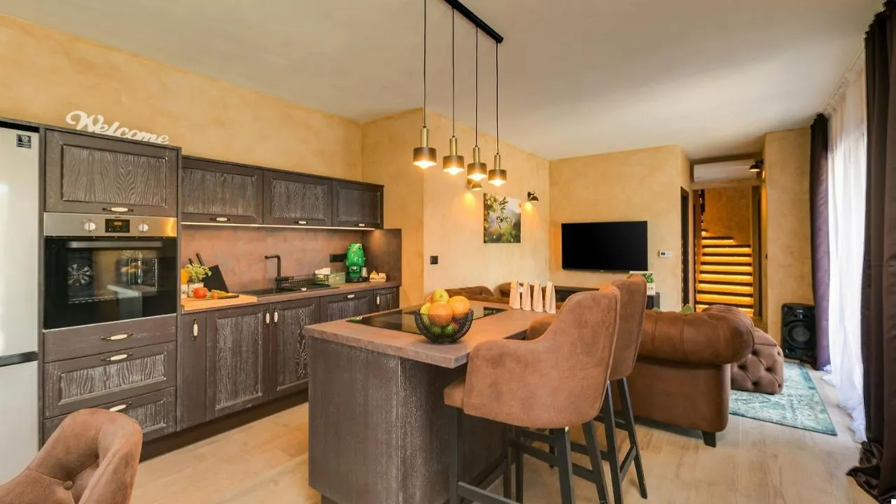 Villa Maslina Nova Vas  Guest house Nova Vas (Porec)